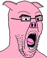 animal ear glasses open_mouth pig pink_skin soyjak stubble tongue ukraine variant:imhotep // 529x655 // 141.8KB