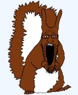 animal brown_hair series:animaljaks squirrel squirreljak subvariant:longplier variant:markiplier_soyjak // 680x830 // 18.7KB