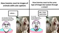 angry animal clothes comic flag glasses hair mustache open_mouth punisher_face purple_hair rabbit soyjak stubble text tongue tranny transgender_flag troon variant:bernd yellow_teeth // 1920x1080 // 562.0KB