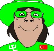 brown_skin female flag:turkiye girl glasses green_hat green_shirt istanbul meta:Not_OC shades smile subvariant:bridget turkiye // 997x933 // 238.1KB