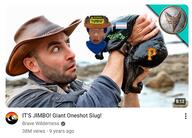 'p angry brown_skin cat_ear clothes hat irl jimbo_(namefag) jimbo_(user) meta:namefags nigger oneshot oneshot_pedo_nigger qa_(soyjak_party) rule34 scarf series:esl_pedo_league shitskin slug subvariant:chudplier unibrow variant:chudjak variant:markiplier_soyjak warning youtube // 554x397 // 306.9KB