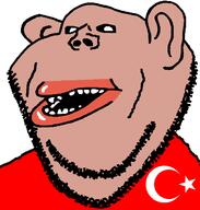 amerimutt big_lips black_sclera clothes flag:turkiye red_shirt soyjak star_and_crescent stubble subvariant:impish_amerimutt tshirt turkiye variant:impish_soyak_ears white_background // 598x628 // 19.4KB