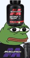 amphibian bald blue_background bottle closed_mouth clothes drink frog green_skin irl lips looking_at_you muscletech nas nas:pepe pepe_the_frog protein protein_powder series:pepe_hat tshirt vanilla // 885x1686 // 640.8KB