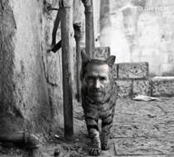 animal animated cat dog ext=gif furry nas nas:gigachad street subnas:gigacat subnas:old_gigachad // 546x492 // 6.4MB animal animated cat dog ext=gif furry nas nas:gigachad street subnas:gigacat subnas:old_gigachad // 546x492 // 6.4MB