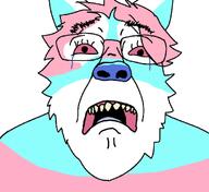 crying ear furry glasses open_mouth red_eyes sharp_teeth snout subvariant:trannyfur tranny transgender_flag variant:bernd vein // 1106x1012 // 81.2KB