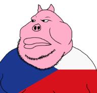 country czechia meta:tagme pig pigskin pink_skin slavic stubble variant:meximutt // 888x849 // 21.6KB
