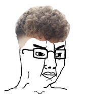 angry brown_hair closed_mouth glasses hair soyjak variant:chudjak zoomer // 477x546 // 71.7KB