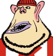 beanie beard blue_lips blush canada clothes distorted flag lips mutt pink_skin purple_lips red_skin stubble subvariant:impish_amerimutt variant:impish_soyak_ears yellow_skin // 598x628 // 90.6KB