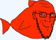 animal bald closed_mouth fish full_body glasses looking_to_the_left orange_skin red_skin smile smirk smug soyjak stretched_chin stubble subvariant:soyak_(smug) transparent_background variant:soyak // 1176x845 // 20.8KB