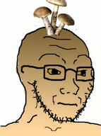 brown_skin closed_mouth clothes glasses hat meta:low_resolution mushroom neutral soyjak stubble variant:soyak white_background yellow_sclera // 211x284 // 61.5KB