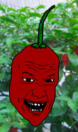 carolina_reaper food open_mouth pepper pepperjak soyjak variant:unknown // 538x908 // 269.0KB