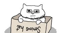 animal bald cat catjak glasses ias meta:self_insert serious_hat stubble subvariant:neutralcat variant:catjak // 960x533 // 60.7KB