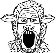 animal ear glasses open_mouth sheep soyjak stubble variant:markiplier_soyjak // 645x618 // 19.9KB
