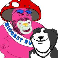 a10_eyes artist:shroot artist:smallanus baby beard biggest_boy binky black_fur caca closed_mouth clothes compressed dog doll_(user) glasses hat meta:namefags meta:not_oc mushroom open_mouth pink_skin pitbull shroom smile soyjak_forum stubble variant:gapejak variant:impish_soyak_ears white_fur // 917x906 // 414.4KB