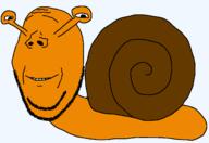eye_stalks mollusk orange_skin series:animaljaks shell smile snail stubble subvariant:wholesome_soyjak variant:gapejak // 1319x906 // 27.5KB