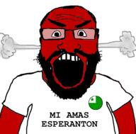 angry arm badge beard clothes conlang esperanto flag flag:esperanto fume glasses i_love linguistics open_mouth red soyjak subvariant:science_lover text tshirt variant:markiplier_soyjak // 800x789 // 2.4MB