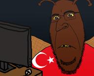 'p antenna brown_skin cockroach computer computer_mouse desk flag:turkiye glasses horny kike kike_nose nigger pedophile roach rotten_teeth stubble subvariant:hornyson turkiye turkroach ugly variant:cobson wing yellow_sclera // 1000x800 // 112.1KB