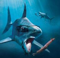 animal fish full_body glasses open_mouth shark squid stubble tail variant:unknown water // 963x936 // 1.4MB
