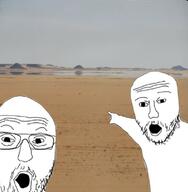 2soyjaks arm desert glasses hand irl_background oasis open_mouth pointing soyjak stubble variant:two_pointing_soyjaks water // 740x756 // 327.5KB