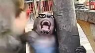 arm glasses hand holding_object irl log monkey open_mouth stubble variant:unknown // 1276x716 // 1.1MB