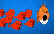anger_mark animal bloodshot_eyes closed_mouth concerned crying fish frown full_body glasses irl_background large_eyebrows multiple_soyjaks open_mouth scared soyjak stretched_mouth stubble subvariant:soyak_(concerned) variant:gapejak variant:soyak water yellow_sclera // 1920x1200 // 2.1MB