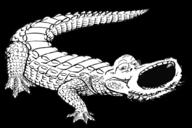 alligator animal crocodile full_body glasses large_mouth open_mouth saltwater_crocodile series:animaljaks soyjak stubble variant:gapejak // 1024x682 // 435.2KB