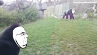 POUND animal animation badass crack glass gorilla smash variant:cobson video zoo // 1874x1080, 11.4s // 13.5MB