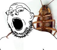 animal bug cockroach ear glasses leg open_mouth sex soyjak stubble variant:gapejak // 509x450 // 158.3KB