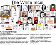 angry blond bloodshot_eyes crying doomer glasses incel looksmaxxing nazism open_mouth rope smirk soyjak subvariant:chudjak_front subvariant:chudjak_seething subvariant:perceptive_chud suicide tongue tranny variant:bernd variant:chudjak // 1639x1323 // 1.6MB