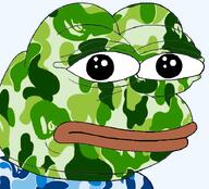 aliased amphibian bape bathing_ape frog nas:pepe neutral pepe_the_frog staring // 720x651 // 351.6KB
