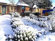 artist:crimsonvoidhydra1488 blue_shirt brown_skin car house hut irl_background jake jartynigger jartypedo lesotho nigger shitskin snow subvariant:jartycuck text tree trend:jartycuck truck variant:chudjak // 1550x1162 // 2.5MB