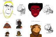 black_skin blond chicken chimpanzee closed_mouth clothes diagram glasses hair hat monkey multiple_soyjaks open_mouth orangutan race racism skull smile smoke soyjak stubble subvariant:chudjak_front subvariant:henry subvariant:wholesome_soyjak tail teeth variant:chudjak variant:cobson variant:gapejak variant:impish_soyak_ears weed yellow_sclera yellow_stubble // 1088x725 // 288.0KB