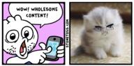 literal_who literally_stonetoss rboykisser rcuckold rdankmemes rkamalaharrismemes rmarkiplier rwholesomeanimemes stonetoss wholesome // 997x493 // 267.9KB