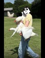 glasses goose meta:tagme nonsense stealing thief variant:david // 750x960 // 858.4KB