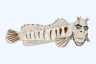 animal blenny fin fish full_body glasses series:animaljaks smile soyjak stubble tail variant:cobson // 1600x1067 // 102.9KB