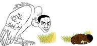 grass nigger niglet smile smug soyjak the_struggling_girl the_vulture_and_the_little_girl variant:chudjak vulture // 679x322 // 40.5KB