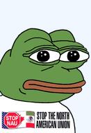 amphibian bald blue_background canada closed_mouth clothes frog green_skin lips looking_at_you mexico nas nas:pepe north_america north_american_union pepe_the_frog politics tshirt united_states // 1344x1973 // 340.4KB