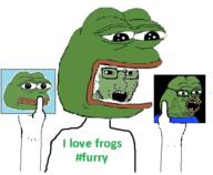 amphibian arm clothes frog furry glasses green_skin hand hat holding_object nas:pepe open_mouth pepe_the_frog soyjak stubble text variant:soyak // 483x398 // 178.0KB