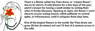 factjak flower glasses plant smelling soyjak stubble subvariant:wholesome_soyjak text variant:gapejak // 2384x800 // 113.9KB
