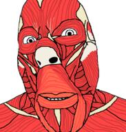 anime attack_on_titan bone meta:tagme muscles no_eyebrows no_glasses series:bodybuddy skinless smile soyjak variant:cobson // 673x706 // 79.3KB