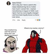 parrot tranny variant:feraljak // 720x778 // 58.1KB