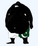 flag:pakistan navel nipple obese pakistan pakistani subvariant:beast subvariant:morbidmutt ugly vantablack vantablack_skin variant:meximutt white_sclera // 2382x2847 // 272.1KB