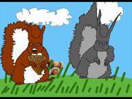 2soyjaks animal animated cloud drawn_background grey_squirrel holding_object nigga_thats_nuts nut red_squirrel subvariant:feralsquirrel variant:feraljak video // 768x576, 10.5s // 197.9KB