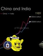 china india video // 480x624, 11.7s // 944.9KB