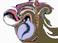 brown_troonjak funny hanging meme noose stubble tranny trend:slopjak variant:mugjak // 1247x935 // 1.2MB