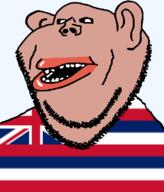 amerimutt black_sclera brown_skin clothes ear flag flag:hawaii hair hawaii lips mutt open_mouth soyjak state stubble subvariant:impish_amerimutt transparent_background united_states variant:impish_soyak_ears // 685x800 // 40.6KB