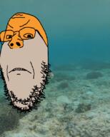 angry animal fish glasses irl_background orange_skin sea soyjak stubble variant:gapejak water // 680x850 // 381.2KB