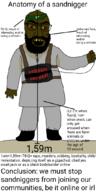 beard beastiality bomb brown_skin crescent full_body goat_fucker hair incest islam manlet map_(pedophile) math murder pedophile racial_science rape robbery sandnigger shitskin short small_penis soyjak star_(symbol) star_and_crescent subvariant:tetojak tbp terrorist text variant:feraljak // 532x1064 // 139.9KB
