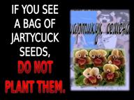 creepypasta flower image jartycuck package packaging plant porn scary series:brimstone_creepypastas sex slopjak text variant:soytan video // 640x480, 180s // 10.8MB