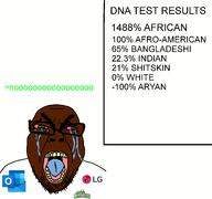 brown_skin chef_boyardee crying dna_test lg microsoft_outlook nigger outlook shitskin subvariant:seethejak variant:bernd // 2400x2250 // 143.0KB
